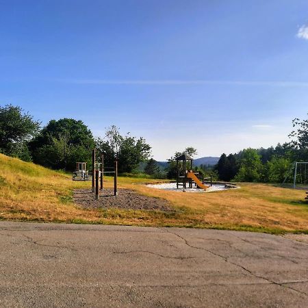 Ferienwohnung Wanderkoenige Braunlage Luaran gambar